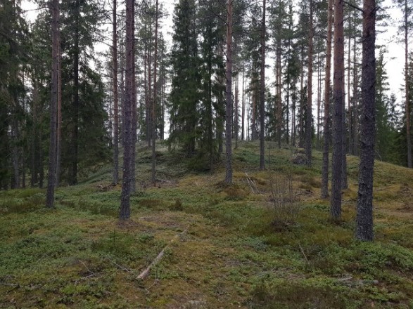 Unelmamaastoa Pottikylässä