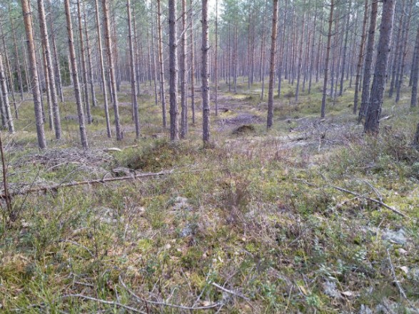 Pakkalankankaalla hyvä näkyvyys